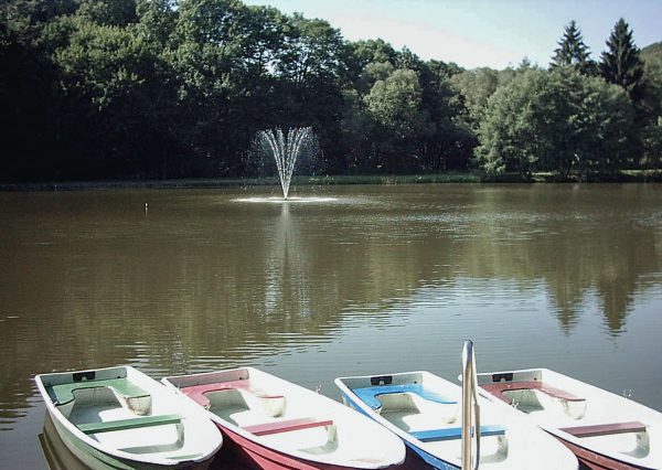 Neustadt (Harz) Schwimmfontaine