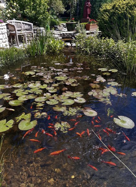 Teich im Garten